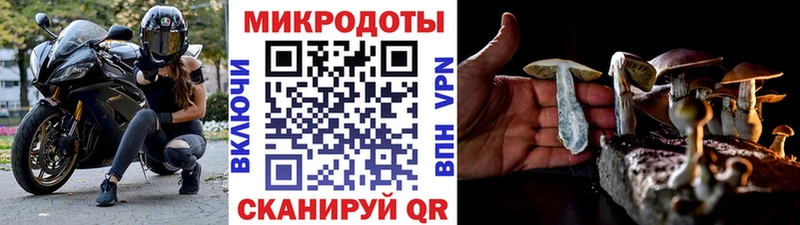 Псилоцибиновые грибы мухоморы  Купить  Туапсе 